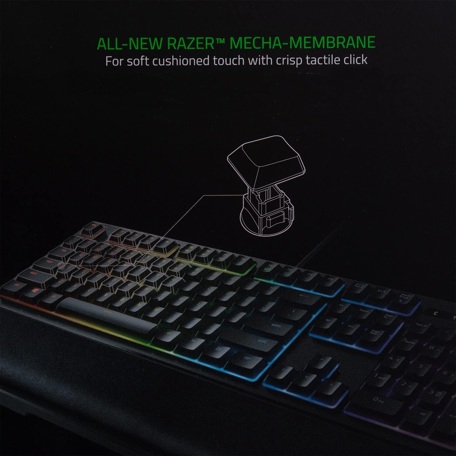 Ornata Chroma Gaming Keyboard with Hybrid Mechanical Key Switches, Customizable RGB Lighting, Individually Backlit Keys, Detachable Wrist Rest, and Programmable Macros